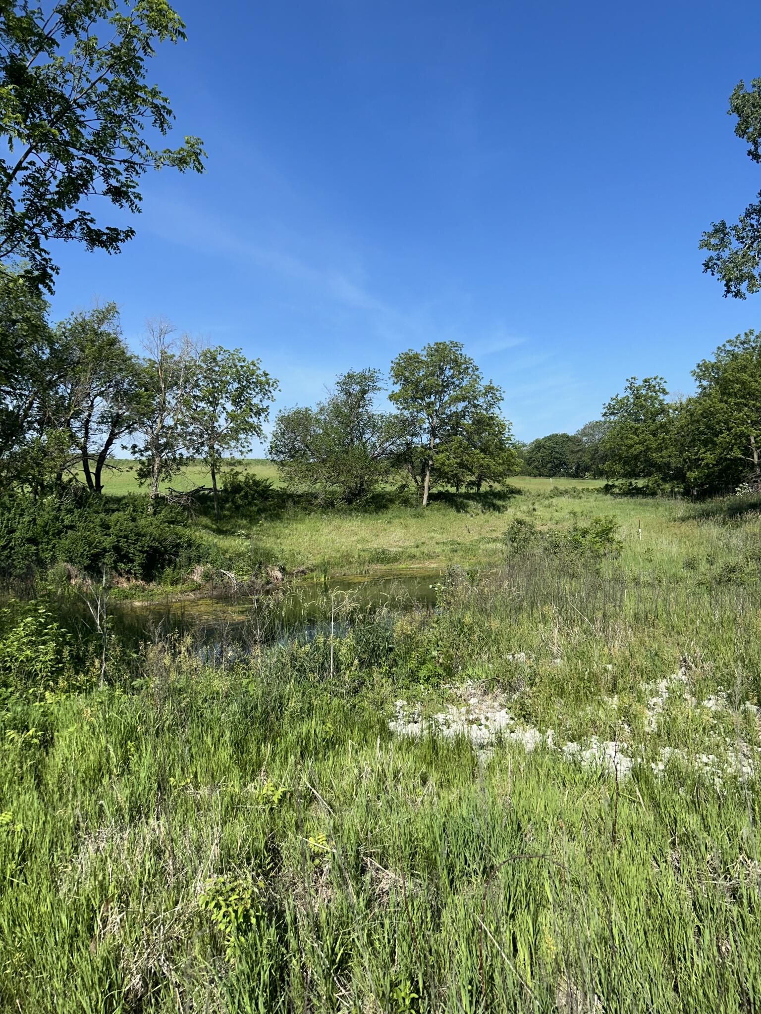 Photo 1 of 9 of land for sale at 27828 Dobney Avenue #Lot 6, Silver City, IA 51571